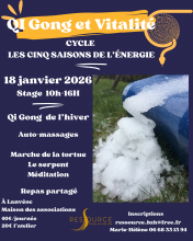 Les Cinq saisons de l'énergie